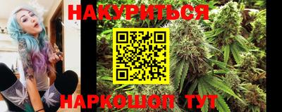 крисы Краснодар