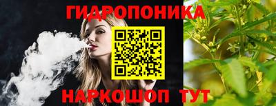 крисы Краснодар