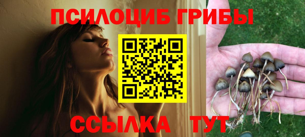 Псилоцибиновые грибы Psilocybine cubensis  Псилоцибиновые грибы ЛСД  Вход с VPN  Пятигорск 